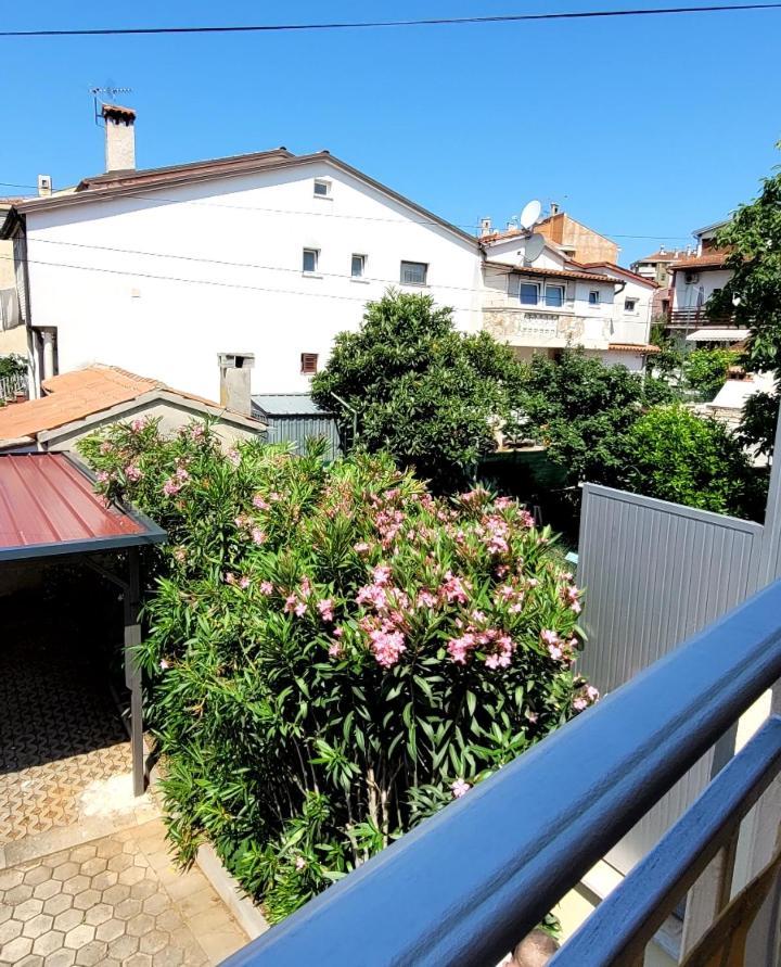Apartmani Sojka 로비니 외부 사진
